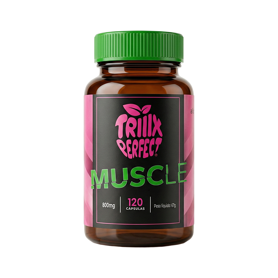Muscle Amino + BCAA 3 em 1